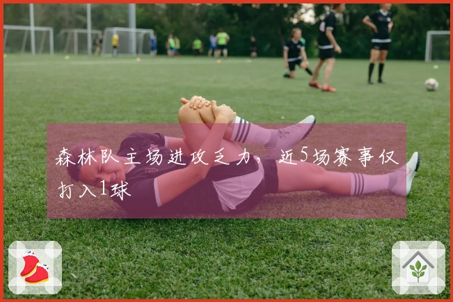 森林队主场进攻乏力,近5场赛事仅打入1球